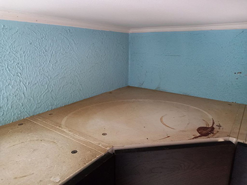 ������ ������� ���������