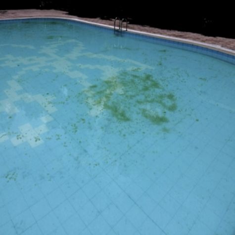 ������� �������� � �� ��������