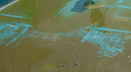 ������ �������� � ��������� ������