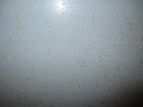 ������ �������� � ������������