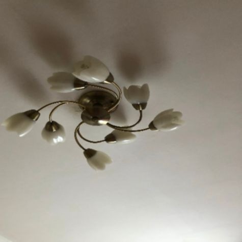 ������� ����� � ��� ��������� ���