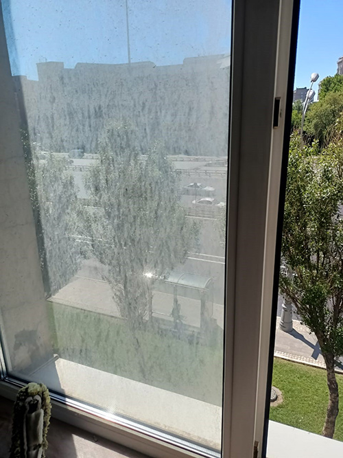 ����� ���� � ��������