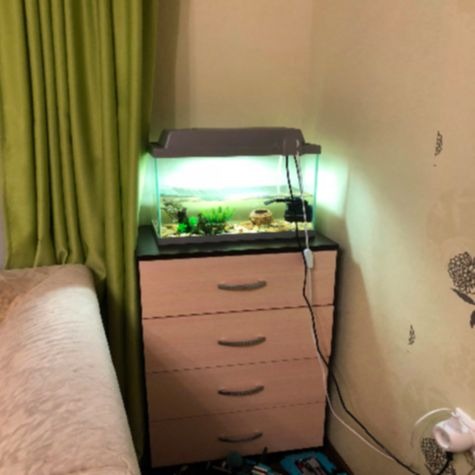 ����������� ������ � ��� �������