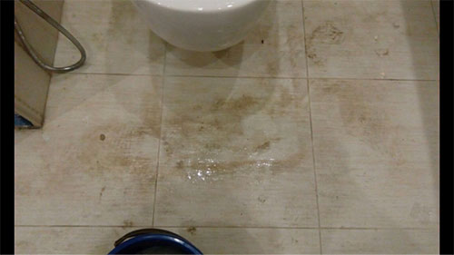 ������ ������� � �������� ������������ ������