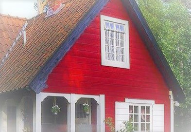 ������ ���� �� �����