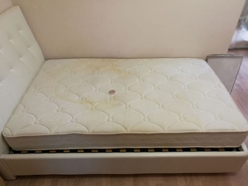 ������ ���� ������ � ���������� �������