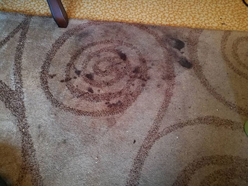 ����������� ������ ��������